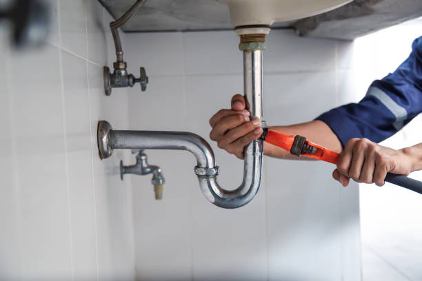 Best Local Plumber Services  in Dahlone, GA